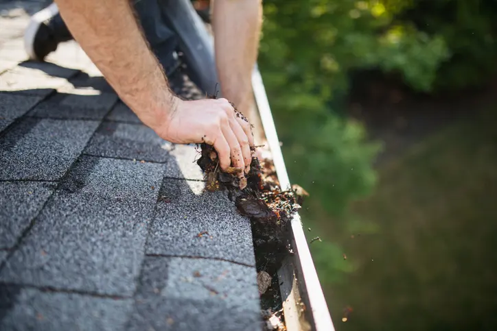 man’s hands scoop out fallen leaves and pine needles from the rain gutters of his house