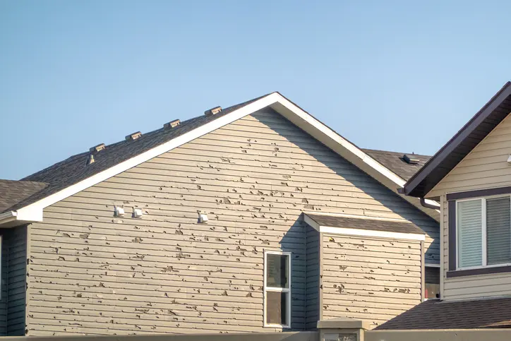 A residential home exhibits substantial hail damage to its vinyl siding, characterized by numerous small dents and chips.